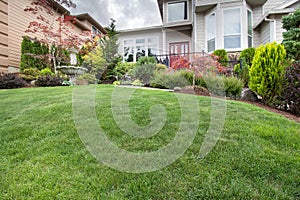 Green Grass Lawn in Manicured Frontyard Garden