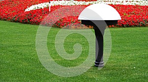 A green grass lawn, red flowers, a black and white lamp of a park of shanghai, china.