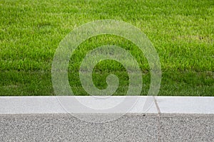 Green grass on the lawn. Selective focus. Shallow depth of field