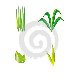 Green grass, leaf, leaves, plant, agricultur vector symbol photo