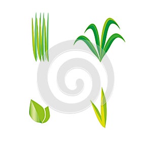Green grass, leaf, leaves, plant, agricultur vector symbol