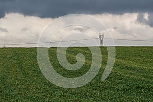 Green grass meadow, agricultural field, cloudy weather, electricity pylons in the back, natural background