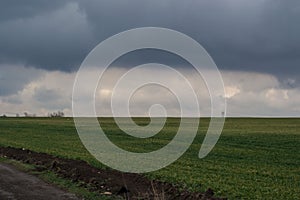 Green grass meadow, agricultural field, cloudy weather, electricity pylons in the back, natural background
