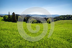 Green grass, meadow and beautiful landscape with blue sky