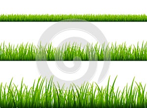 Green grass meadow border vector pattern. Spring or summer plant field lawn. Grass background