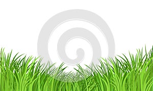 Green grass meadow border vector pattern on white background.