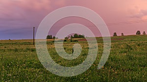 Green grass meadow field natural colors