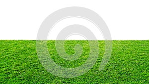 Green grass meadow field from outdoor park isolated in white background with clipping path. Outdoor countryside meadow nature