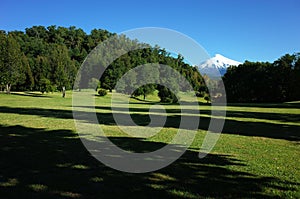 Green grass meadow and forest on hill, Snowy cone of Villarrica volcano under blue sky in sunny day. Green environment, Pucon