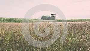 Green grass meadows and fields landscape in a sunny day - vintage effect