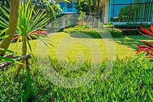 Green grass, Modern house with beautiful landscaped front yard, Lawn and garden blur background.