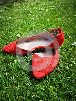 Green grass, mokassins, shoes, summer, park