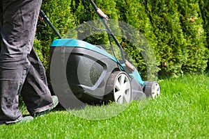 Green grass is mowed lawn mower