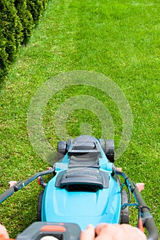 Green grass is mowed lawn mower