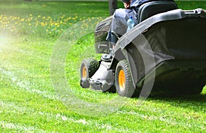 Green grass mowing with lawn mower.