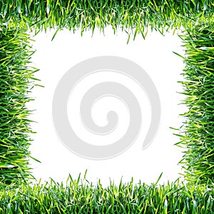 Green grass. Natural frame