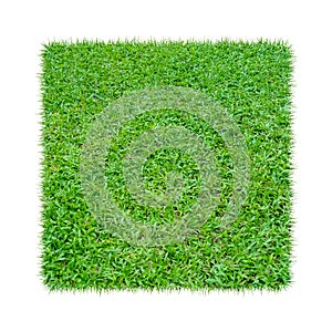 Green grass. Natural texture background. Fresh spring green grass. isolated on white background