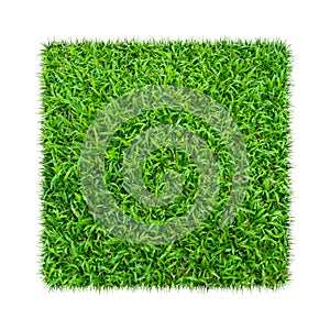 Green grass. Natural texture background. Fresh spring green grass. isolated on white background