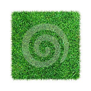 Green grass. Natural texture background. Fresh spring green grass. isolated on white background