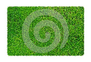 Green grass. Natural texture background. Fresh spring green grass. isolated on white background