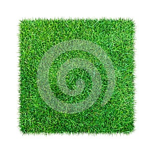 Green grass. Natural texture background. Fresh spring green grass. isolated on white background