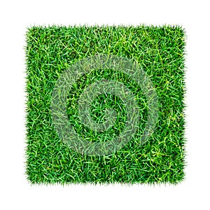 Green grass. Natural texture background. Fresh spring green grass. Isolated on white background