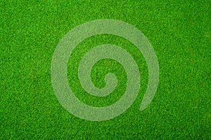Green grass floor texture/Green grass background vignette or the naturally walls texture Ideal for use in the design fairly. photo