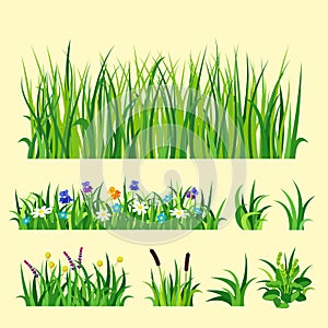 Green grass nature design elements vector illustration grow agriculture nature background