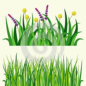 Green grass nature design elements vector illustration isolated grow agriculture nature background
