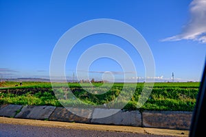 Green grass near the highway road and electrical transmission towers background