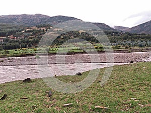 Green grass near river photo