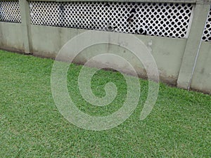 Green grass by an old fence wall