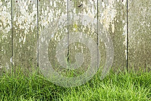 Green grass with old wood fence background