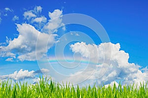 Green grass over a blue sky background and rainbow