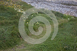 A path to a rockey beach