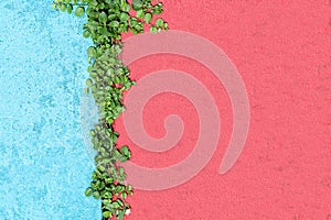 Details of a green grass on the pink and blue concrete floor.