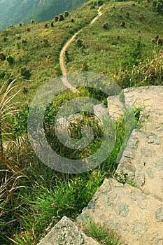 Green grass, plants, footpath and stone staircase in mountain