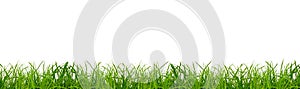 a green grass on a png background photo