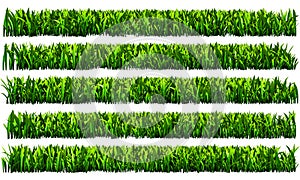 Green grass, PNG transparent background