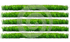 Green grass, PNG transparent background