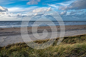 Green grass protects sandy dunes from wind on wide windy beach of North sea near Zandvoort in Netherlands