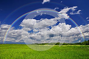 Green Grass Rainbow img