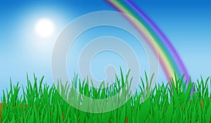 Green Grass Rainbow Background