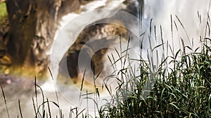 Green grass with a rainbow formed by the Vernal Fall along the Merced River in Yosemite National Park