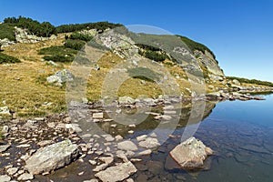 Green grass and reflection in small Lake, Rila Mountain