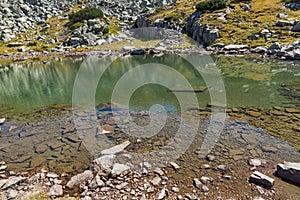 Green grass and reflection in small Lake, Rila Mountain