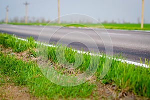 Green grass on roadside of asphalt road. Nature concept