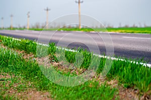 Green grass on roadside of asphalt road. Nature concept