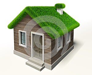 Green grass roof house