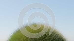 Green grass round shaped over blue sky scene